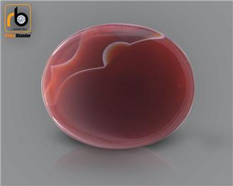 NATURAL  AGET 12.01 CRT ( 5057 )